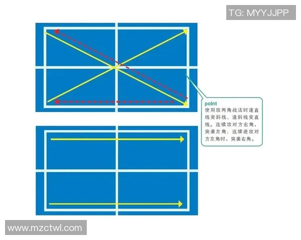 深入分析杭州乒乓球队区域防守战术与欧冠足球的战术对比