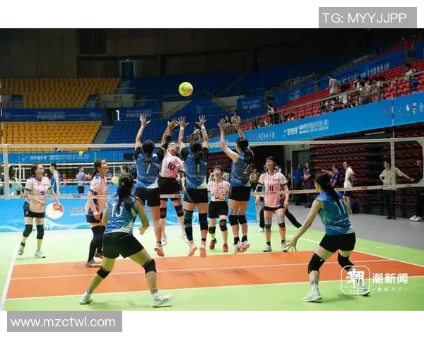 体育实时数据探秘西安排球队实力的排球巨献揭示背后故事与发展潜力