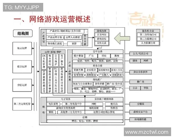 实时新闻深入分析北京排球队的运营策略与市场推广模式